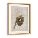 Nido - Oriole - Elissa Della-Piana | Cuadro decorativo de Canvas Lab