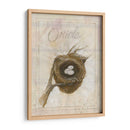 Nido - Oriole - Elissa Della-Piana | Cuadro decorativo de Canvas Lab