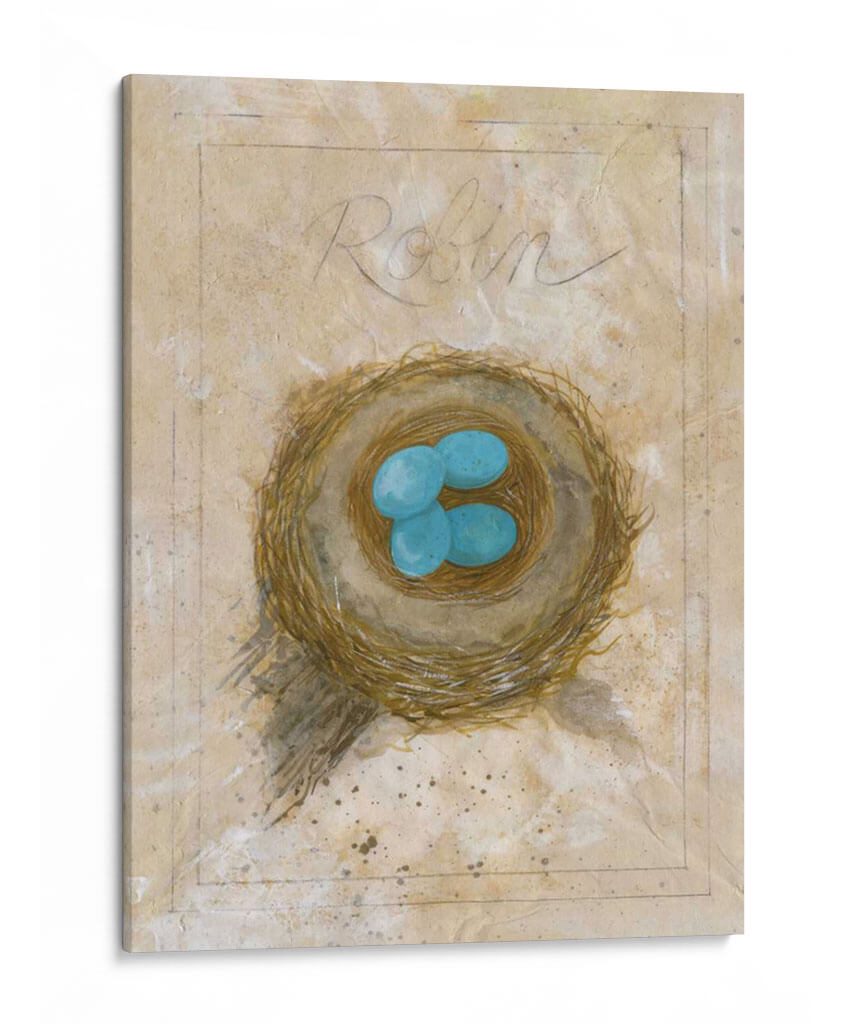 Nest - Robin - Elissa Della-Piana | Cuadro decorativo de Canvas Lab