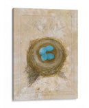 Nest - Robin - Elissa Della-Piana | Cuadro decorativo de Canvas Lab