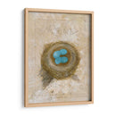 Nest - Robin - Elissa Della-Piana | Cuadro decorativo de Canvas Lab