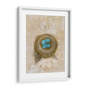 Nest - Robin - Elissa Della-Piana | Cuadro decorativo de Canvas Lab