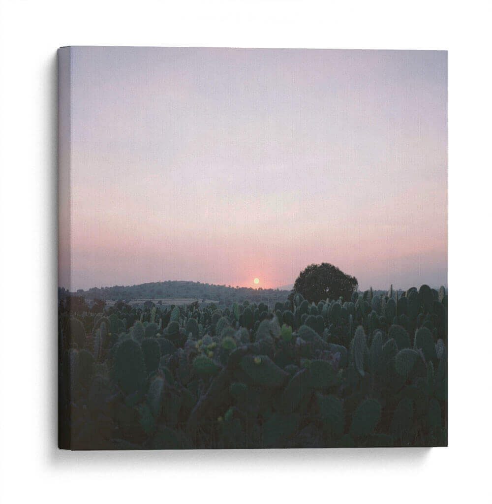 PUEBLA - Valles de Puebla - Raúl Ruz | Cuadro decorativo de Canvas Lab