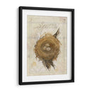 Nido - Gorrión - Elissa Della-Piana | Cuadro decorativo de Canvas Lab