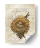 Nido - Gorrión - Elissa Della-Piana | Cuadro decorativo de Canvas Lab