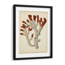 Antiguo Coral Rojo Vi - Vision Studio | Cuadro decorativo de Canvas Lab