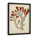 Antiguo Coral Rojo Vi - Vision Studio | Cuadro decorativo de Canvas Lab