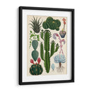 Variedades del cactus | Cuadro decorativo de Canvas Lab