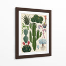 Variedades del cactus | Cuadro decorativo de Canvas Lab