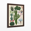 Variedades del cactus | Cuadro decorativo de Canvas Lab