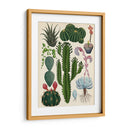 Variedades del cactus | Cuadro decorativo de Canvas Lab