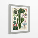 Variedades del cactus | Cuadro decorativo de Canvas Lab