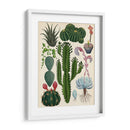 Variedades del cactus | Cuadro decorativo de Canvas Lab