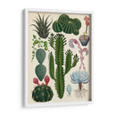 Variedades del cactus | Cuadro decorativo de Canvas Lab