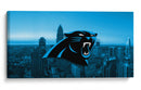 Carolina Panthers | Cuadro decorativo de Canvas Lab