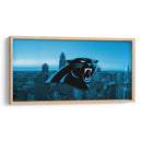 Carolina Panthers | Cuadro decorativo de Canvas Lab