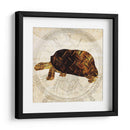 Tortuga Punk De Vapor I - Pam Ilosky | Cuadro decorativo de Canvas Lab