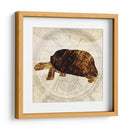 Tortuga Punk De Vapor I - Pam Ilosky | Cuadro decorativo de Canvas Lab