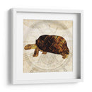 Tortuga Punk De Vapor I - Pam Ilosky | Cuadro decorativo de Canvas Lab