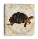 Turtle Punk Steam Ii - Pam Ilosky | Cuadro decorativo de Canvas Lab