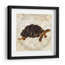 Turtle Punk Steam Ii - Pam Ilosky | Cuadro decorativo de Canvas Lab