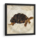 Turtle Punk Steam Ii - Pam Ilosky | Cuadro decorativo de Canvas Lab
