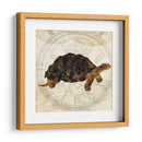 Turtle Punk Steam Ii - Pam Ilosky | Cuadro decorativo de Canvas Lab