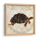 Turtle Punk Steam Ii - Pam Ilosky | Cuadro decorativo de Canvas Lab