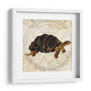 Turtle Punk Steam Ii - Pam Ilosky | Cuadro decorativo de Canvas Lab