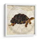 Turtle Punk Steam Ii - Pam Ilosky | Cuadro decorativo de Canvas Lab
