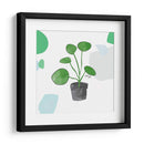 Planta del dinero china | Cuadro decorativo de Canvas Lab