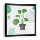 Planta del dinero china | Cuadro decorativo de Canvas Lab