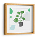 Planta del dinero china | Cuadro decorativo de Canvas Lab