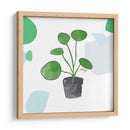Planta del dinero china | Cuadro decorativo de Canvas Lab