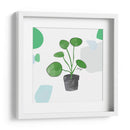 Planta del dinero china | Cuadro decorativo de Canvas Lab