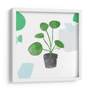 Planta del dinero china | Cuadro decorativo de Canvas Lab