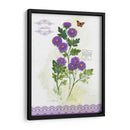 Estudio De Flores En El Encaje Ii - Elissa Della-Piana | Cuadro decorativo de Canvas Lab