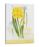 Estudio De Flores En El Encaje V - Elissa Della-Piana | Cuadro decorativo de Canvas Lab