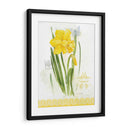 Estudio De Flores En El Encaje V - Elissa Della-Piana | Cuadro decorativo de Canvas Lab