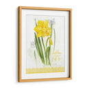 Estudio De Flores En El Encaje V - Elissa Della-Piana | Cuadro decorativo de Canvas Lab