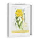 Estudio De Flores En El Encaje V - Elissa Della-Piana | Cuadro decorativo de Canvas Lab