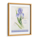 Estudio De Flores En El Encaje Vii - Elissa Della-Piana | Cuadro decorativo de Canvas Lab