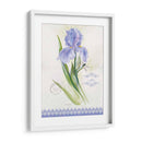 Estudio De Flores En El Encaje Vii - Elissa Della-Piana | Cuadro decorativo de Canvas Lab