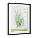 Estudio De Flores En Lace Ix - Elissa Della-Piana | Cuadro decorativo de Canvas Lab