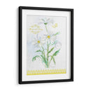 Estudio De Flores En Encaje X - Elissa Della-Piana | Cuadro decorativo de Canvas Lab