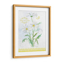 Estudio De Flores En Encaje X - Elissa Della-Piana | Cuadro decorativo de Canvas Lab