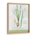 Estudio De Flores En Lace Xii - Elissa Della-Piana | Cuadro decorativo de Canvas Lab