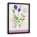 Estudio De Flores En Lace Xiv - Elissa Della-Piana | Cuadro decorativo de Canvas Lab