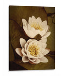 Lily Pad Duo - Rachel Perry | Cuadro decorativo de Canvas Lab