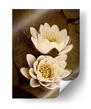 Lily Pad Duo - Rachel Perry | Cuadro decorativo de Canvas Lab